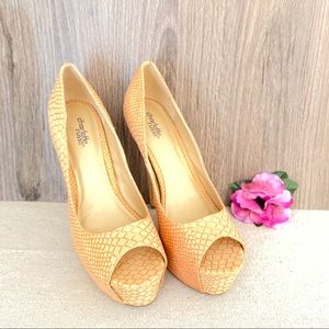 Charlotte Russe Platform Stiletto Heels